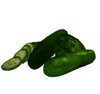 现代黄瓜su模型