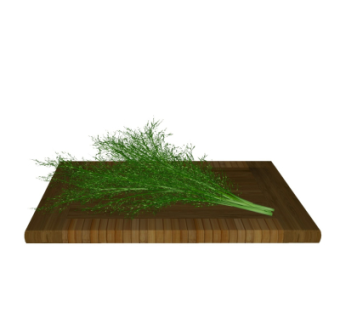 现代蔬菜su模型