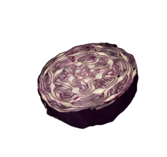 现代蔬菜su模型