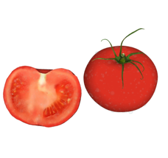 现代西红柿su模型