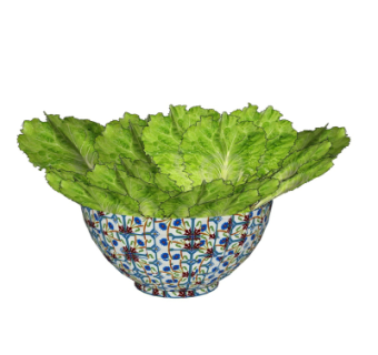 现代蔬菜su模型