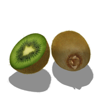 现代猕猴桃su模型