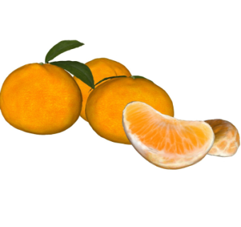 现代水果橙子su模型