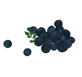 现代水果葡萄su模型