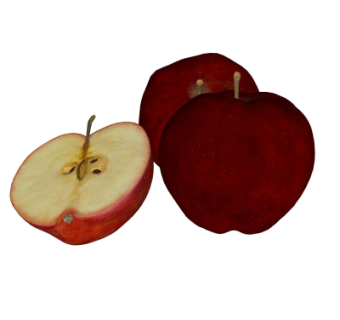 现代苹果su模型