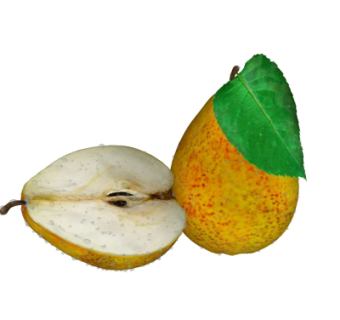 现代水果梨子su模型