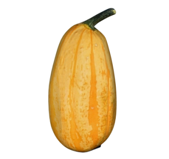 现代水果su模型