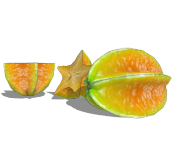 现代水果杨桃su模型