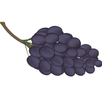 现代水果葡萄su模型