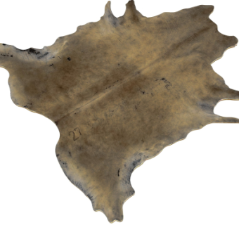 现代兽皮地毯su模型