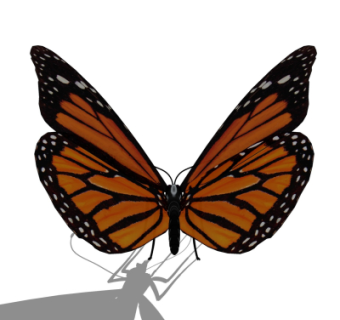 现代蝴蝶su模型