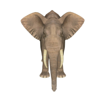 现代大象su模型