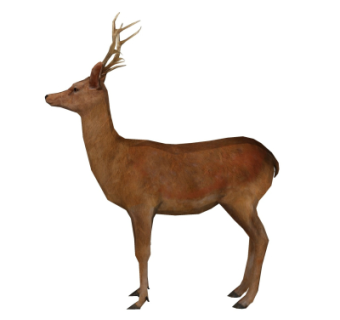 现代鹿su模型