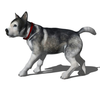 现代狗su模型