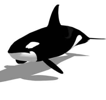 现代鲨鱼su模型