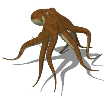 现代章鱼su模型