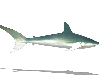 现代<em>鲨鱼</em>su模型