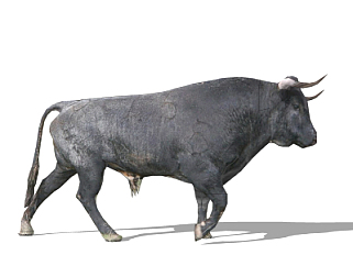 现代牛su模型
