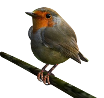 现代麻雀su模型