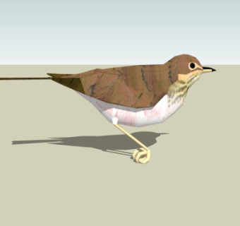 现代鸟摆件su模型