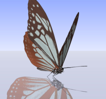 现代蝴蝶su模型