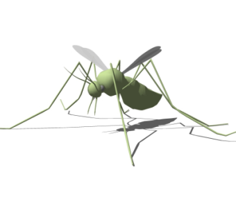 现代苍蝇su模型