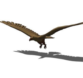 现代老鹰摆件su模型