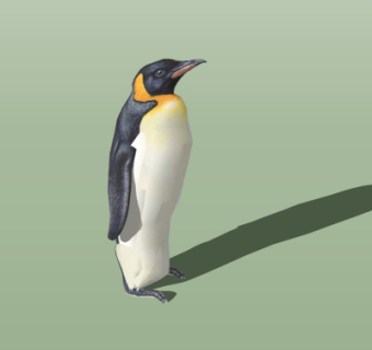 现代企鹅su模型