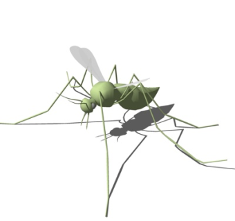 现代螳螂su模型