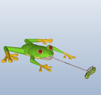 现代青蛙su模型