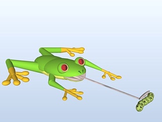 现代<em>青蛙</em>su模型