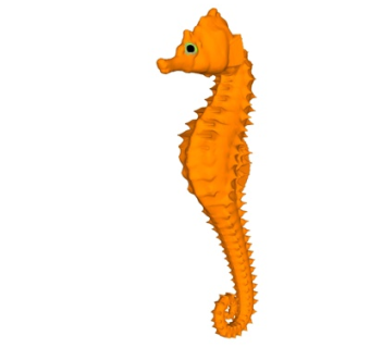 现代海马雕塑摆件su模型