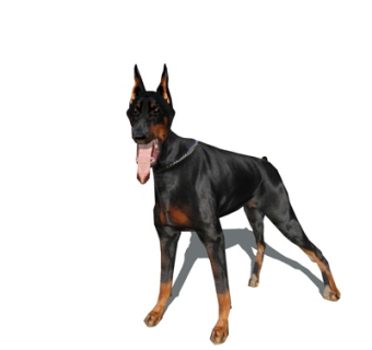 现代黑狗su模型