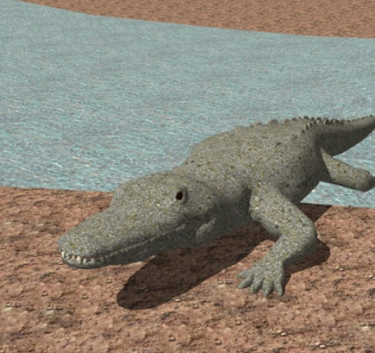 现代鳄鱼su模型