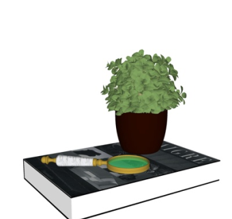 现代书籍盆栽摆件su模型