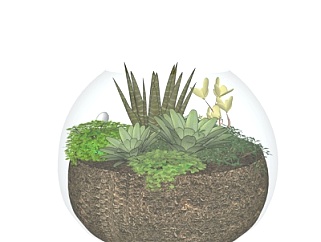 现代玻璃瓶植物盆景su模型