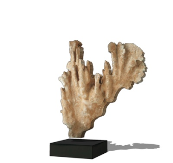 现代仙人掌摆件su模型