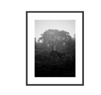 现代装饰画su模型