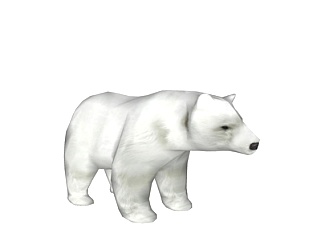 现代北极<em>熊</em>玩具su模型