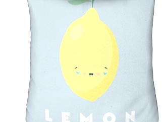现代布艺柠檬抱枕su模型