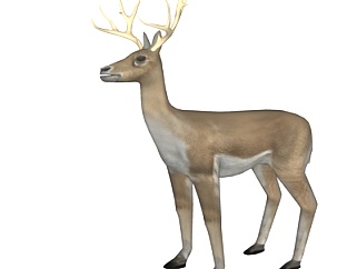 北欧驯鹿标本su模型