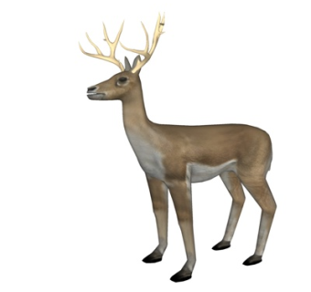 北欧驯鹿标本su模型