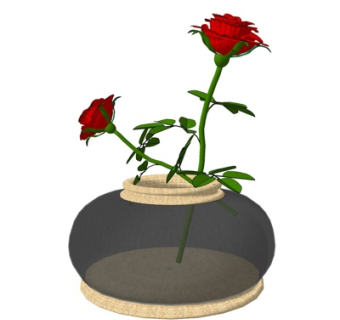 现代玫瑰插花花瓶su模型