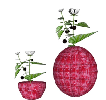 现代花瓶插花su模型