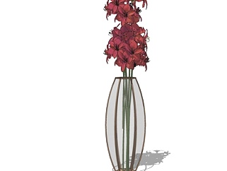 现代半透明花瓶花卉su模型