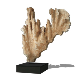 现代仙人掌摆件su模型