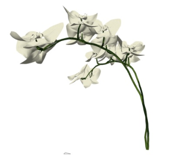 现代花卉su模型