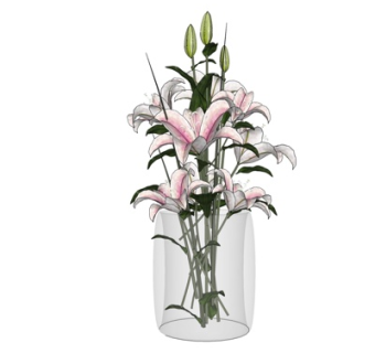 现代玻璃花瓶花卉su模型