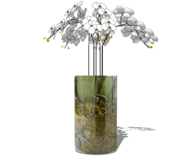 现代玻璃花瓶插花su模型