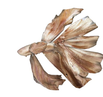 现代抽象摆件su模型